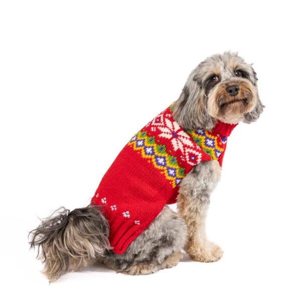 Jolly Red Dog Sweater - large -product back
