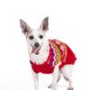 Jolly Red Dog Sweater - small -product front