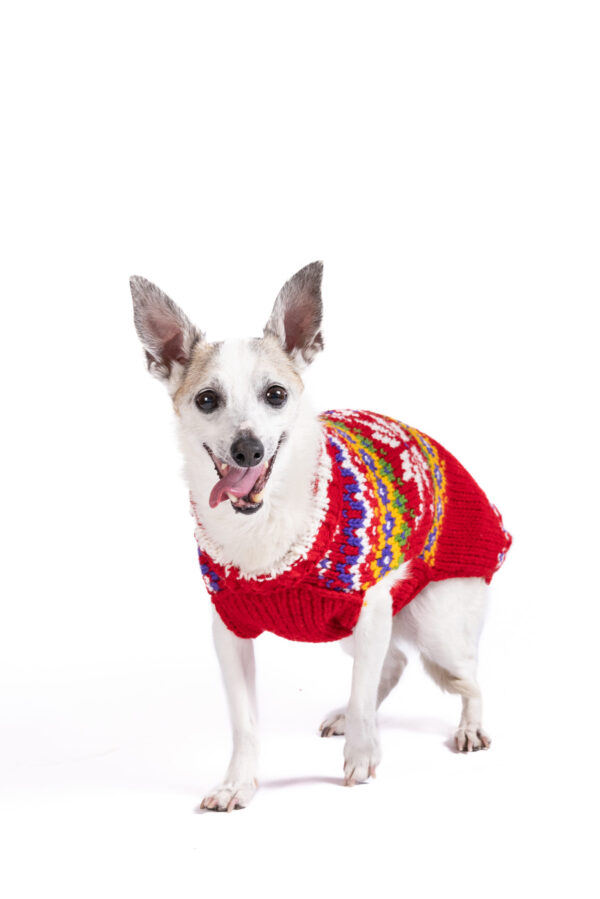 Jolly Red Dog Sweater - small -product front