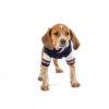 Navy | Red | White Varsity Dog Sweater - small - product front