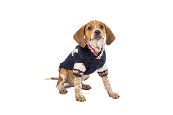 Navy | Red | White Varsity Dog Sweater - small - product front