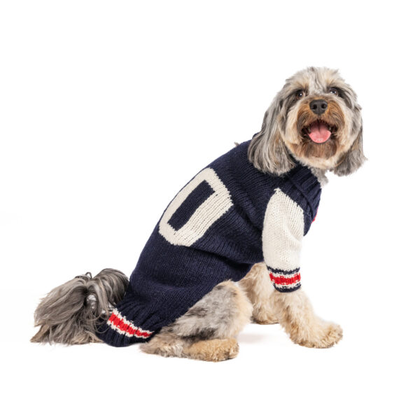 Navy | Red | White Varsity Dog Sweater - large- full product