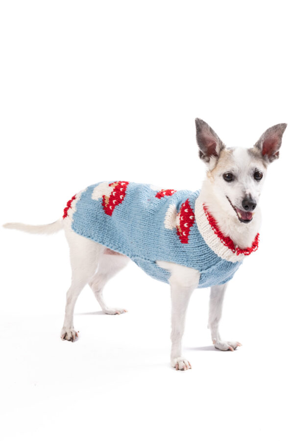 Mushroom Dog Sweater full body shot