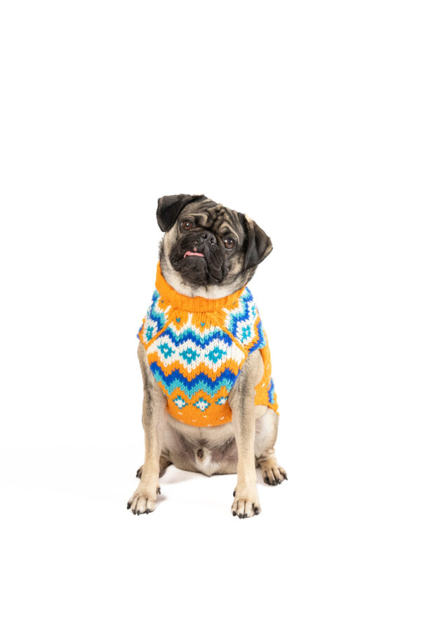 Artic Amber Dog Sweater M front