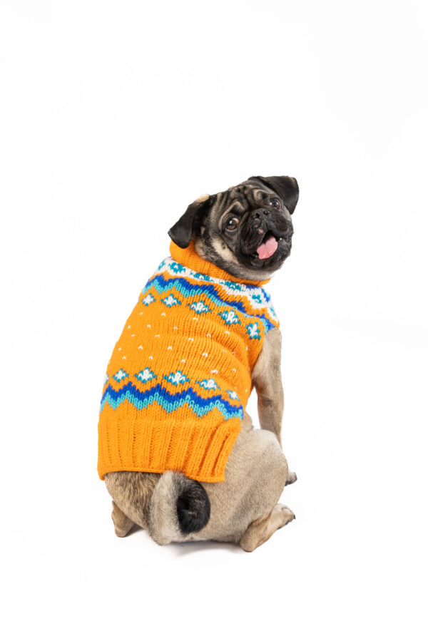 Artic Amber Dog Sweater M back