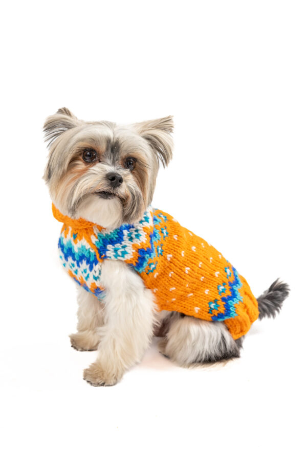 Artic Amber Dog Sweater XS full