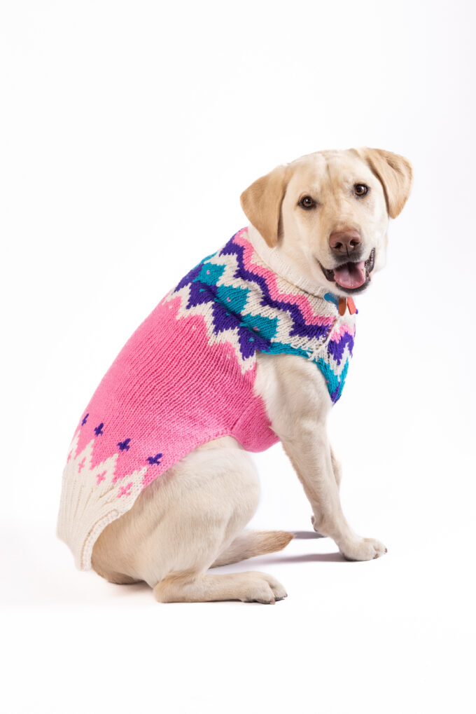 Pink Ski Bum Dog Sweater Chilly Dog Sweaters