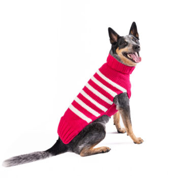 Pink & White Stripe Katie Alpaca Dog Sweater - extra large - full product