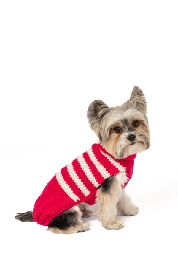 Pink & White Stripe Katie Alpaca Dog Sweater - small - full product