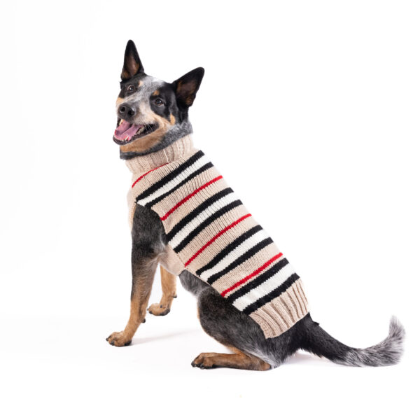 Black | Red | White Striped Bentley Alpaca Tan Dog Sweater - large - full product