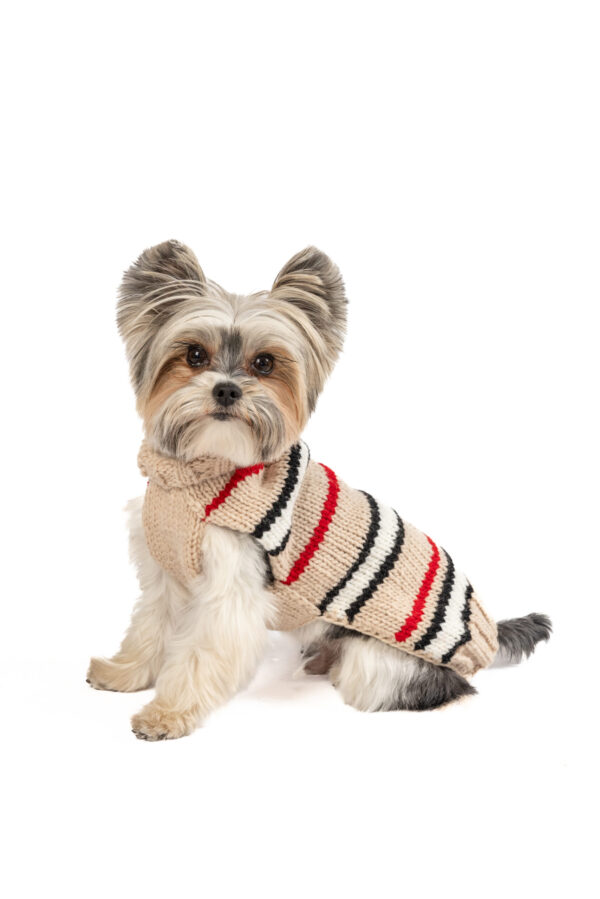 Bentley Alpaca Tan Stripe Dog Sweater- product front