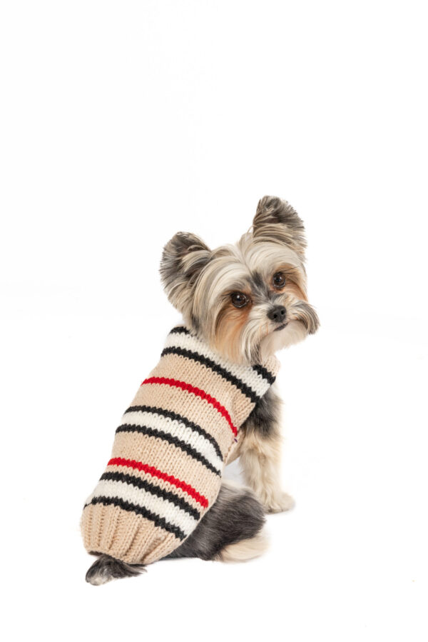 Bentley Alpaca Tan Stripe Dog Sweater- product back