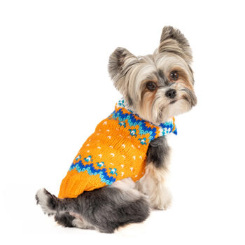 artic-amber-dog-sweater-opposite-600x600
