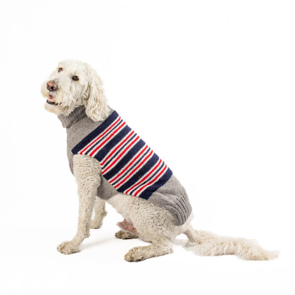 Charlie Alpaca Dog Sweater - large - full product