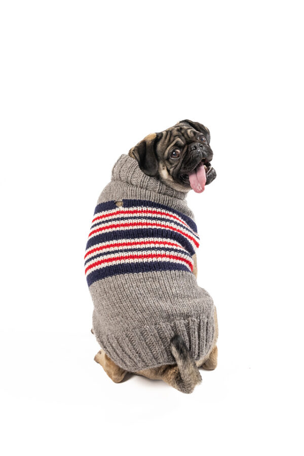 Charlie Alpaca Dog Sweater - medium - product back