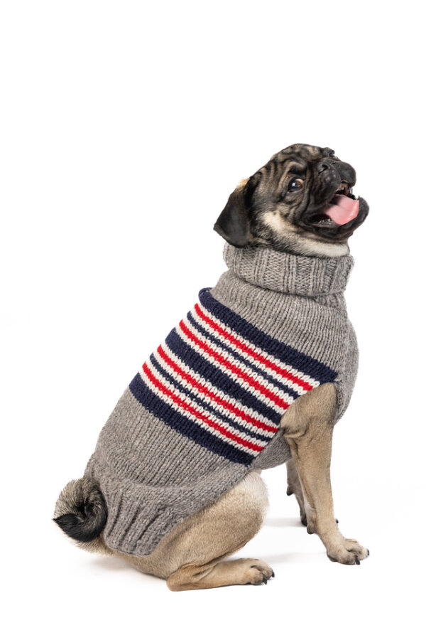 Charlie Alpaca Dog Sweater - medium - product front