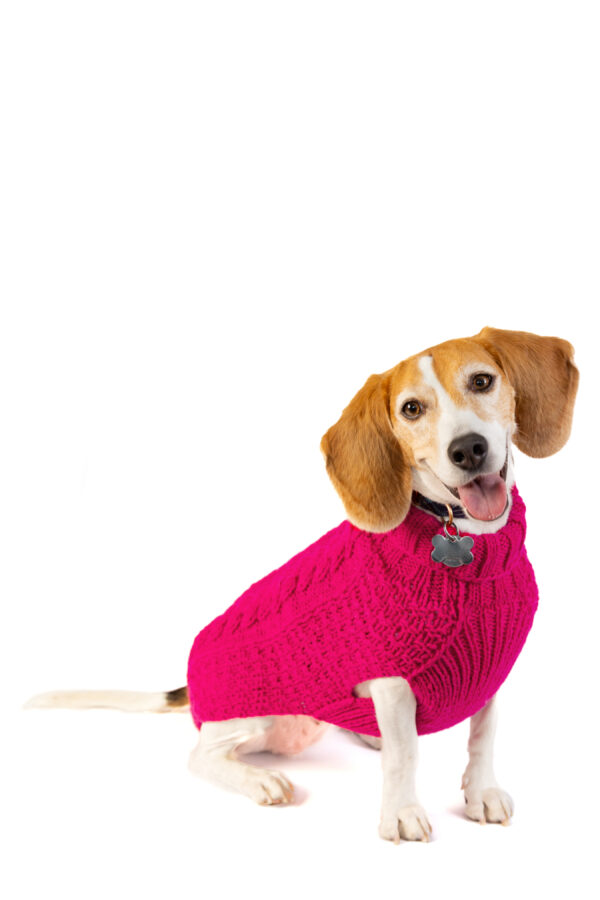 Hot Pink Alpaca Cable Knit Dog Sweater