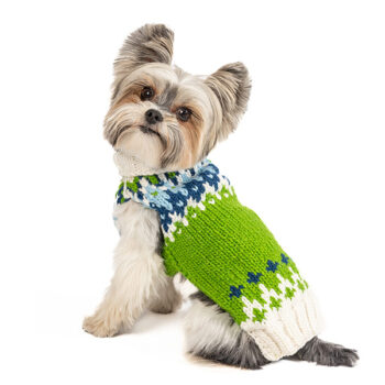 green-blue-white-Spring-Ski-Bum-dog-sweater_XS