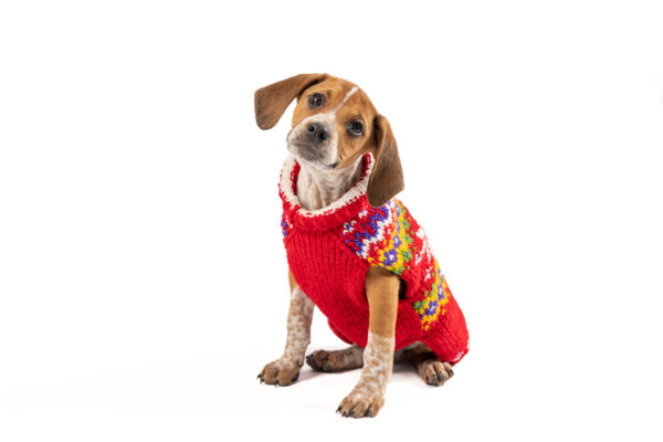 Jolly Red Dog Sweater - medium - product front