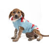 Mushroom Dog Sweater Medium