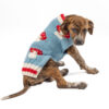 Mushroom Dog Sweater
