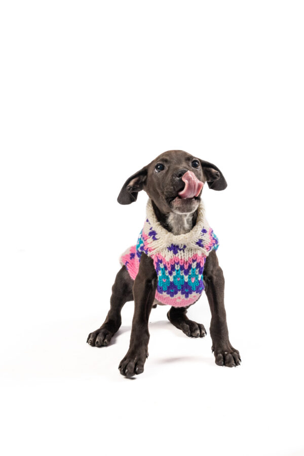 Pink Ski Bum Dog Sweater XS