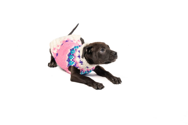 Pink Ski Bum Dog Sweater