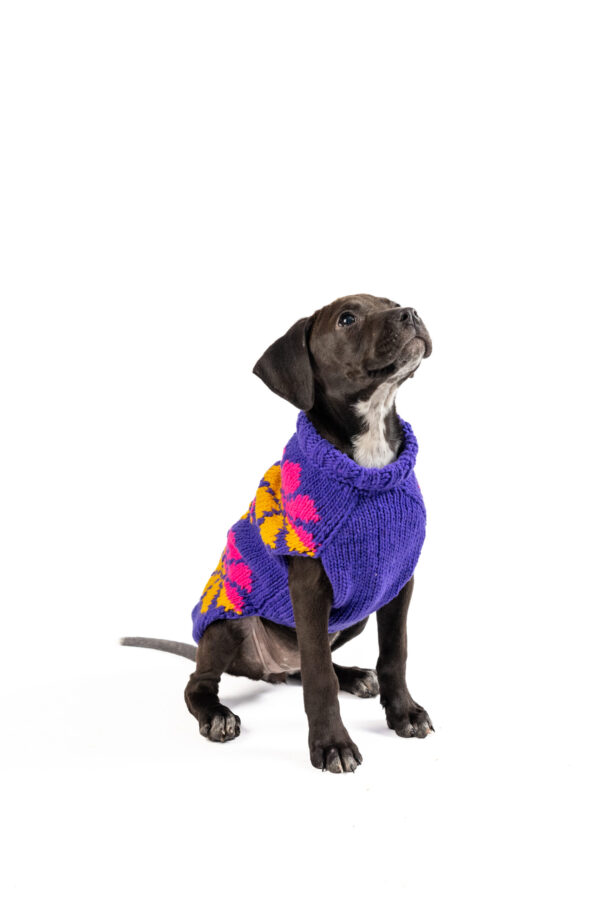 Flower Power Purple Dog Sweater - medium - product front