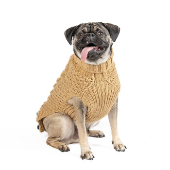 tan-camel-alpaca-cable-knit-dog-sweater_M-600x600
