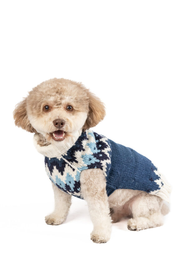 Midnight Ski Bum Dog Sweater - small - product front