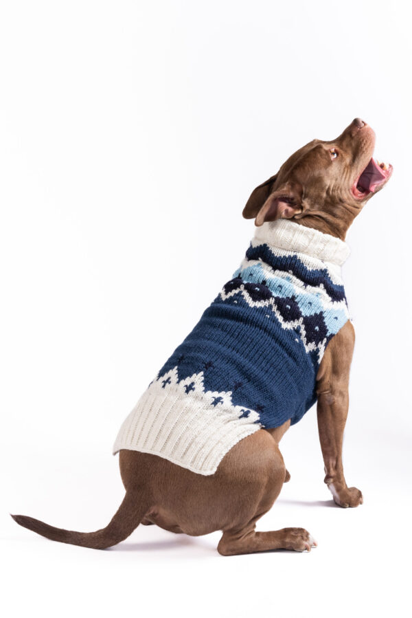 Midnight Ski Bum Dog Sweater - large - product back