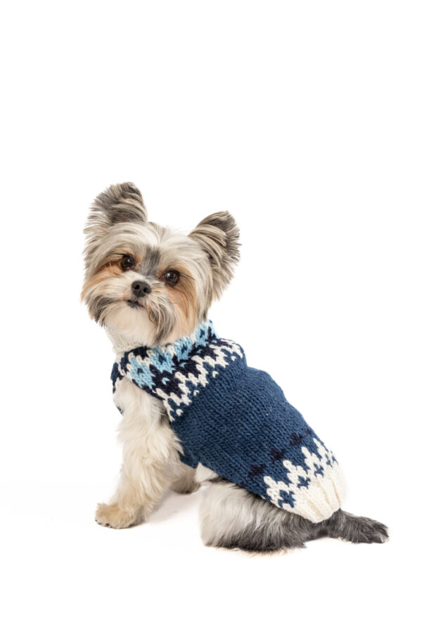 Midnight Ski Bum Dog Sweater - small - product back