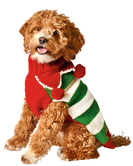 Christmas Elf Holiday Dog Sweater