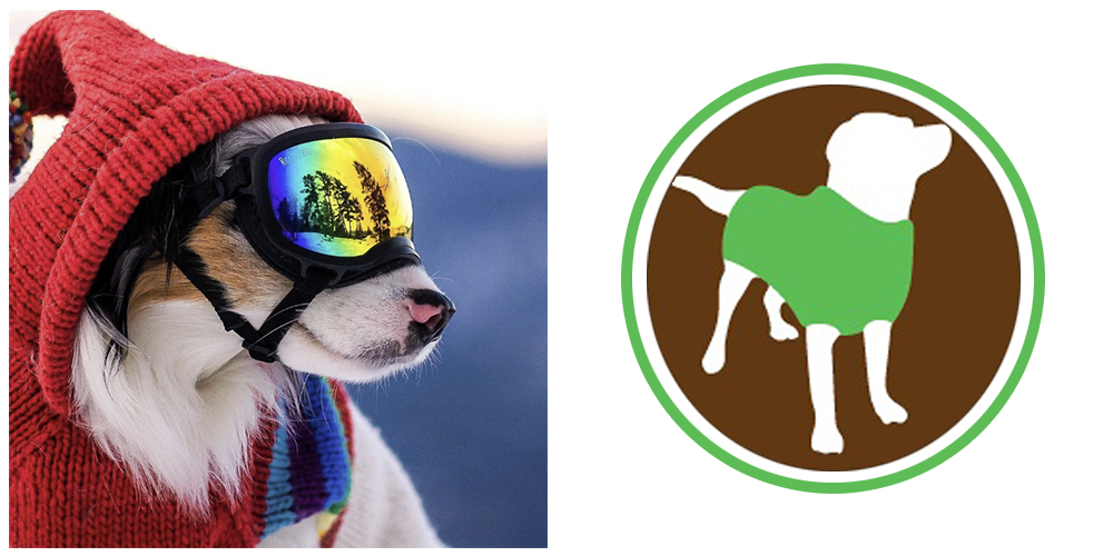 Should dogs wear a coat or sweater in the winter banner-1000x500