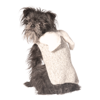 Jingles and joy sales dog sweater