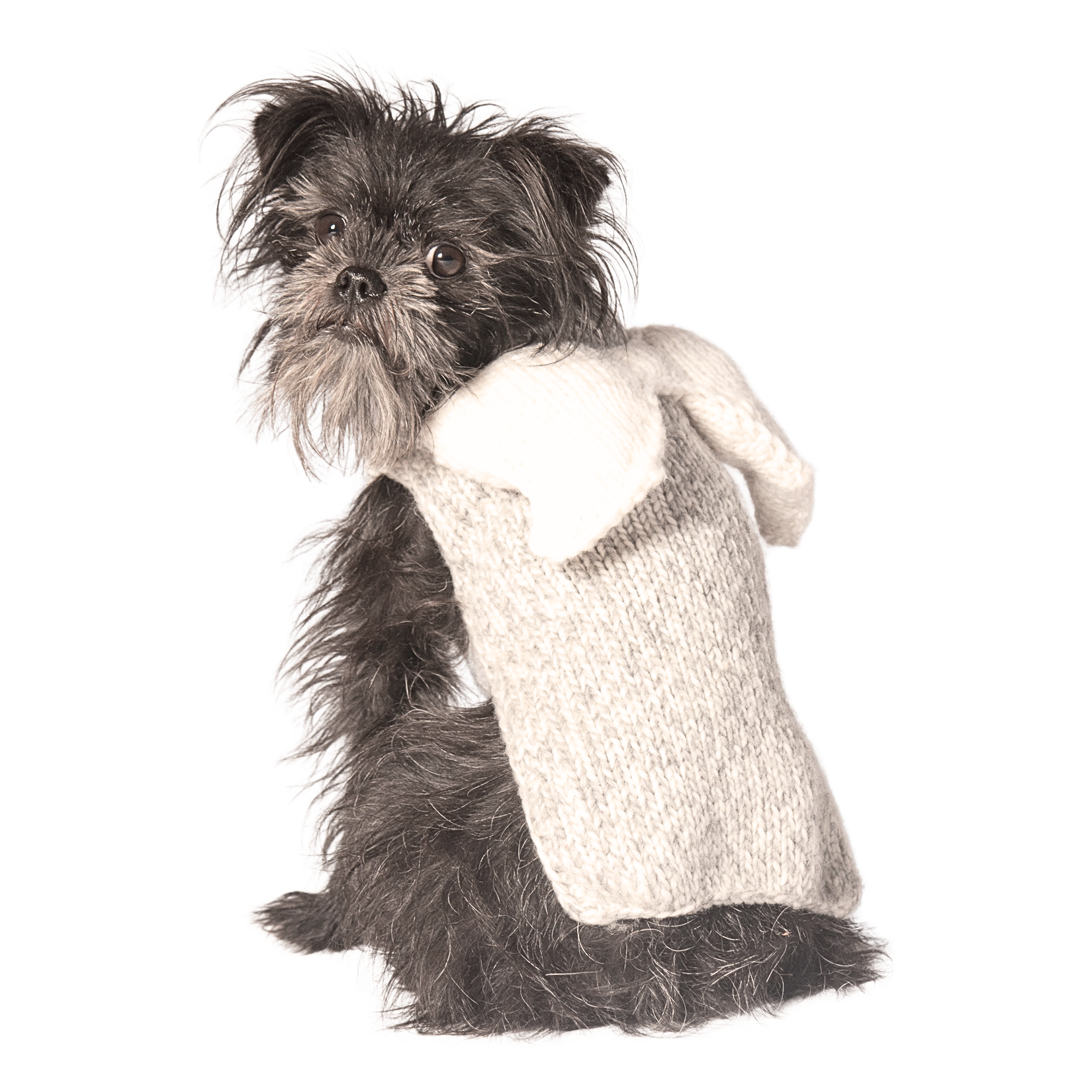 Ewok 2024 dog sweater