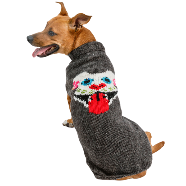 Bully Sugar skull-square dog sweater 1000x1000