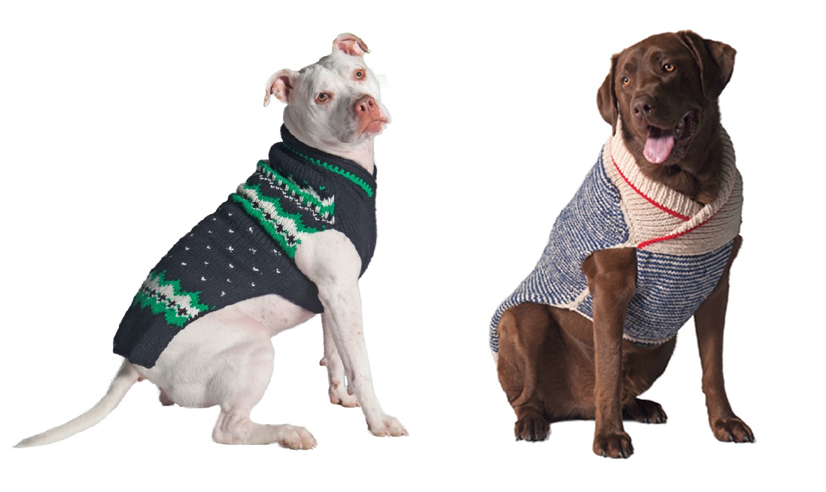 How should I dress my dog for winter article 2-dog banner