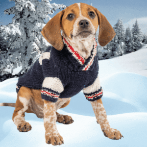 How long should a dog sweater or coat be for any size dog badge