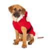 Santa Dog Sweater 62