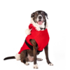 Santa Dog Sweater 63
