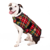 Scotty Plaid Dog Coat (49)