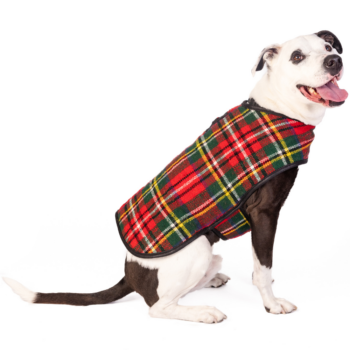 Scotty Plaid dog coats