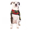 Scotty Plaid Dog Coat 52