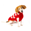 Black Sheep Dog Sweater (33)