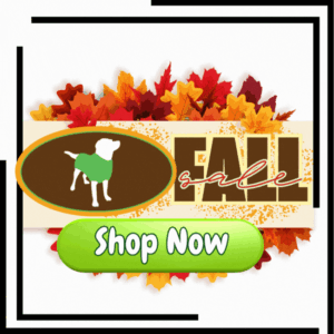 Fall Social Sale Badge