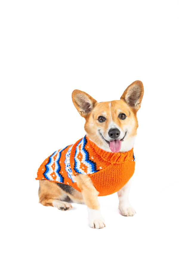 Campfire Dog Sweater - Image 2