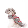 Candy Cane Dog Sweater - Image 2