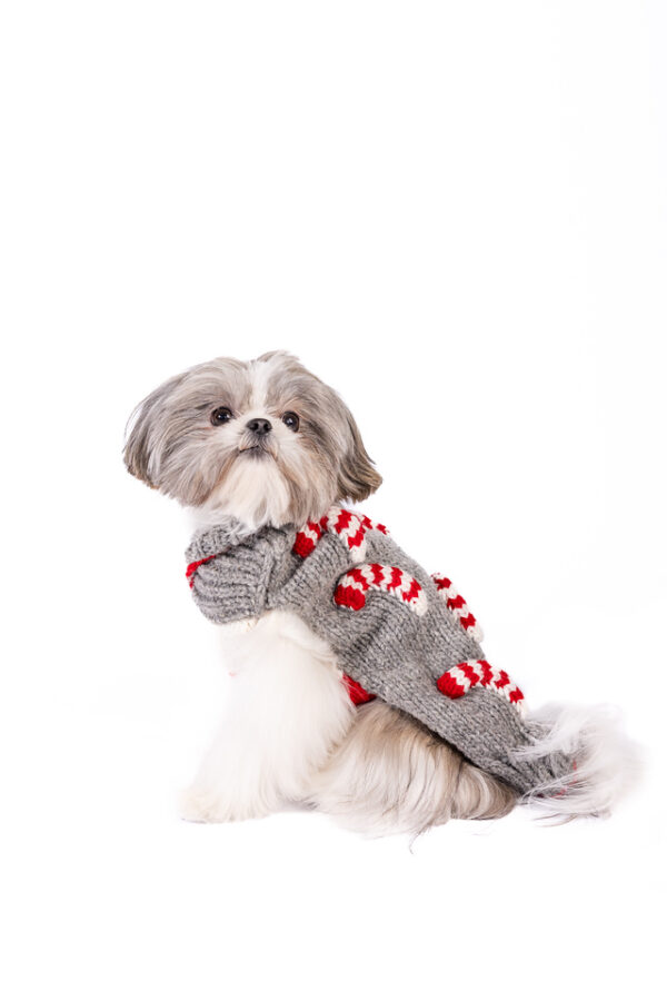 Candy Cane Dog Sweater - Image 2