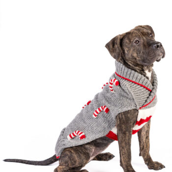 Candy Cane Dog Sweater